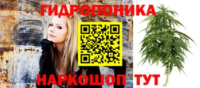 PSILOCYBIN Татарск