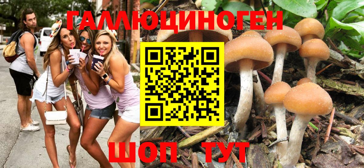 Полысаево  Галлюциногенные грибы мухоморы  Галлюциногенные грибы MAGIC MUSHROOMS  Вход с VPN 